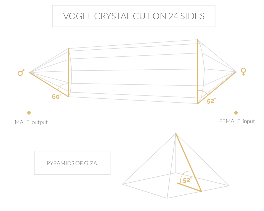 24 sided vogel