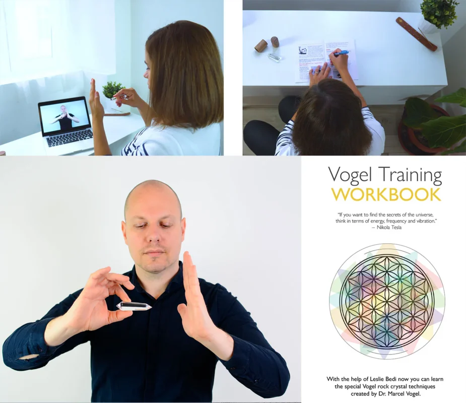 vogel crystal training